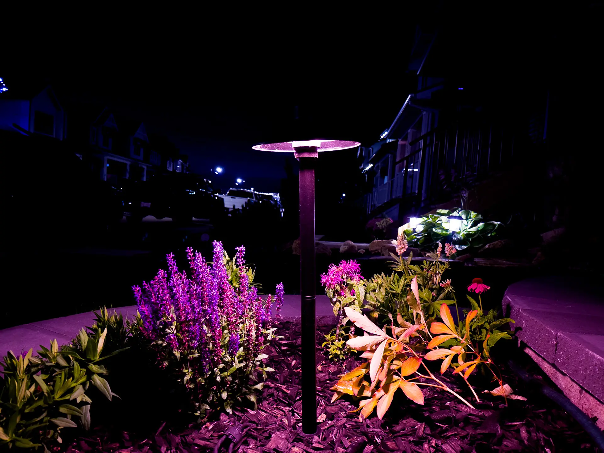 Watts Product Image - Umbrella Area Light
