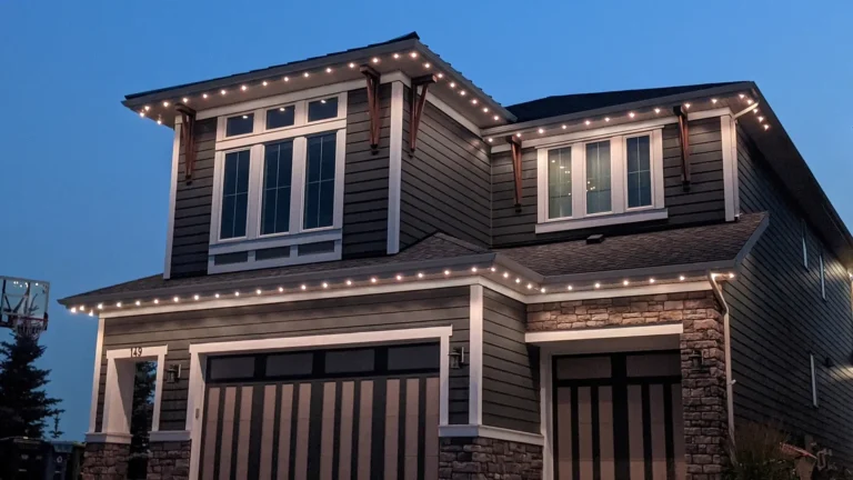 Ambiance & Accent Lights