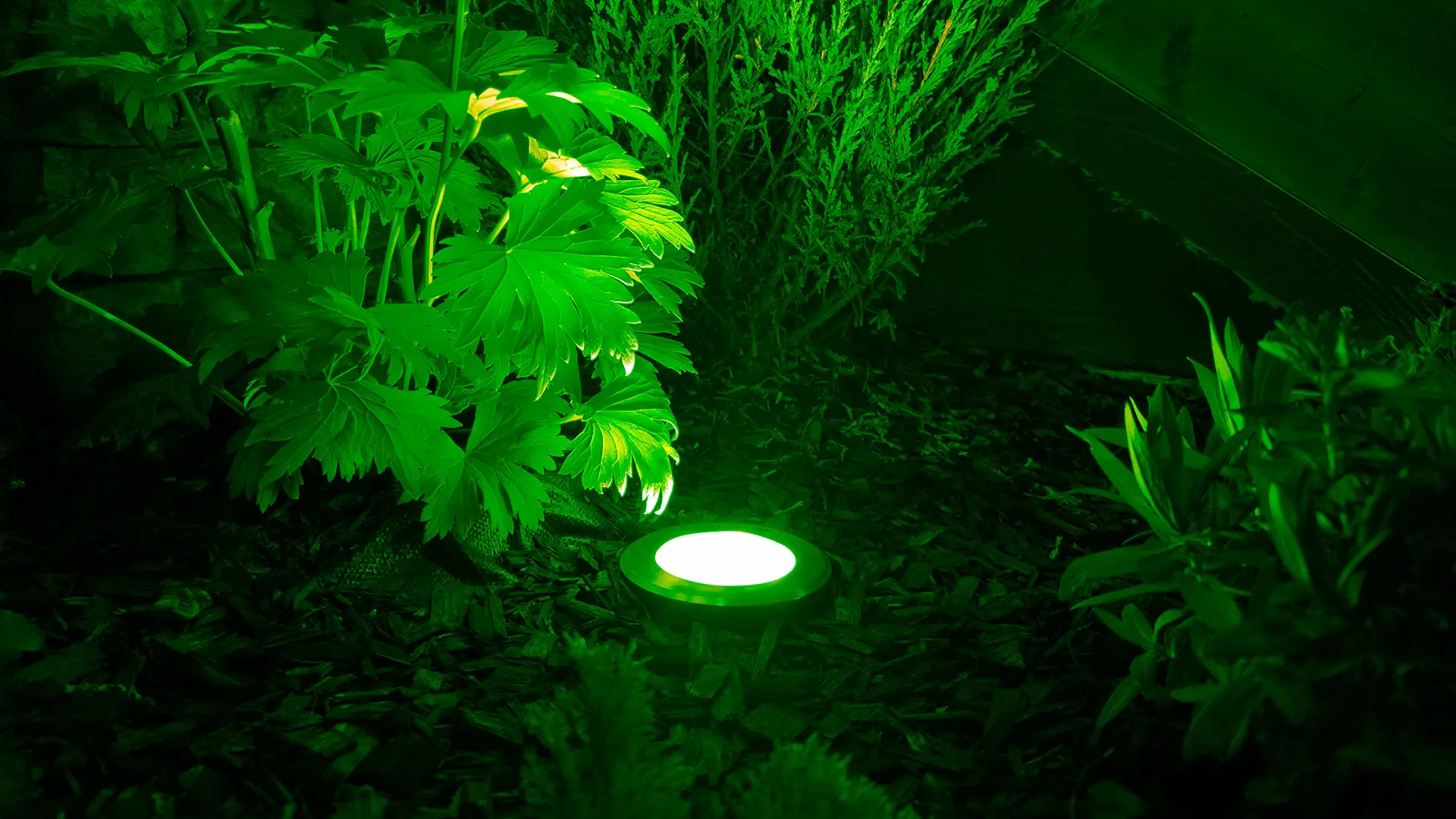 Watts Product Image - In-Ground Up Light